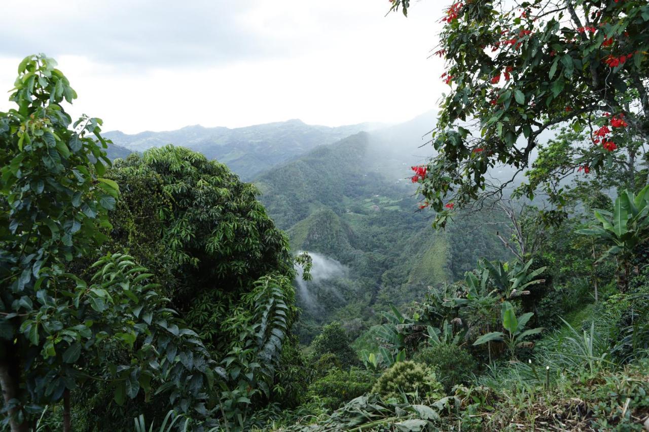 Ecohotel Monteverde Ла Вега Екстериор снимка
