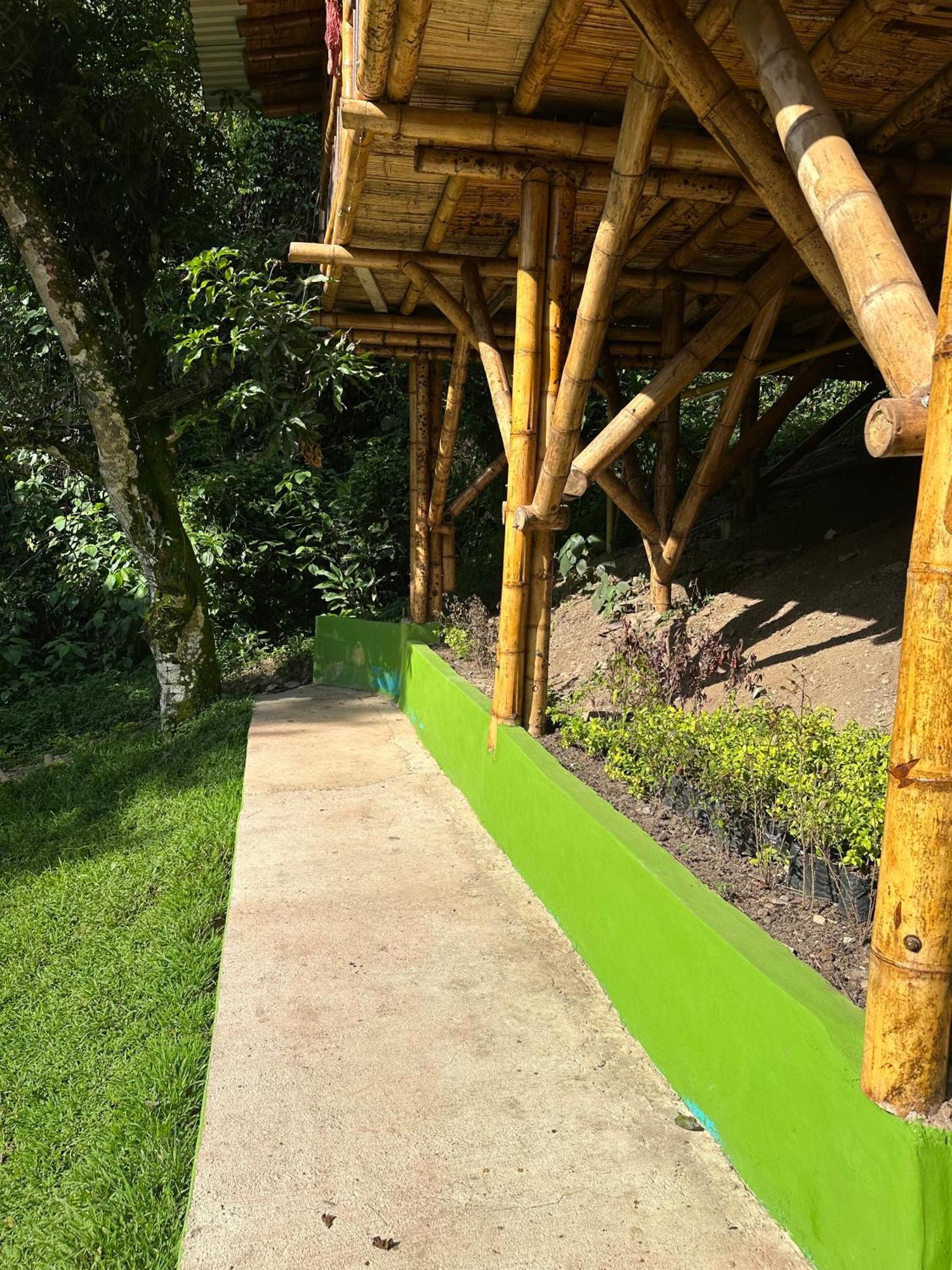 Ecohotel Monteverde Ла Вега Екстериор снимка