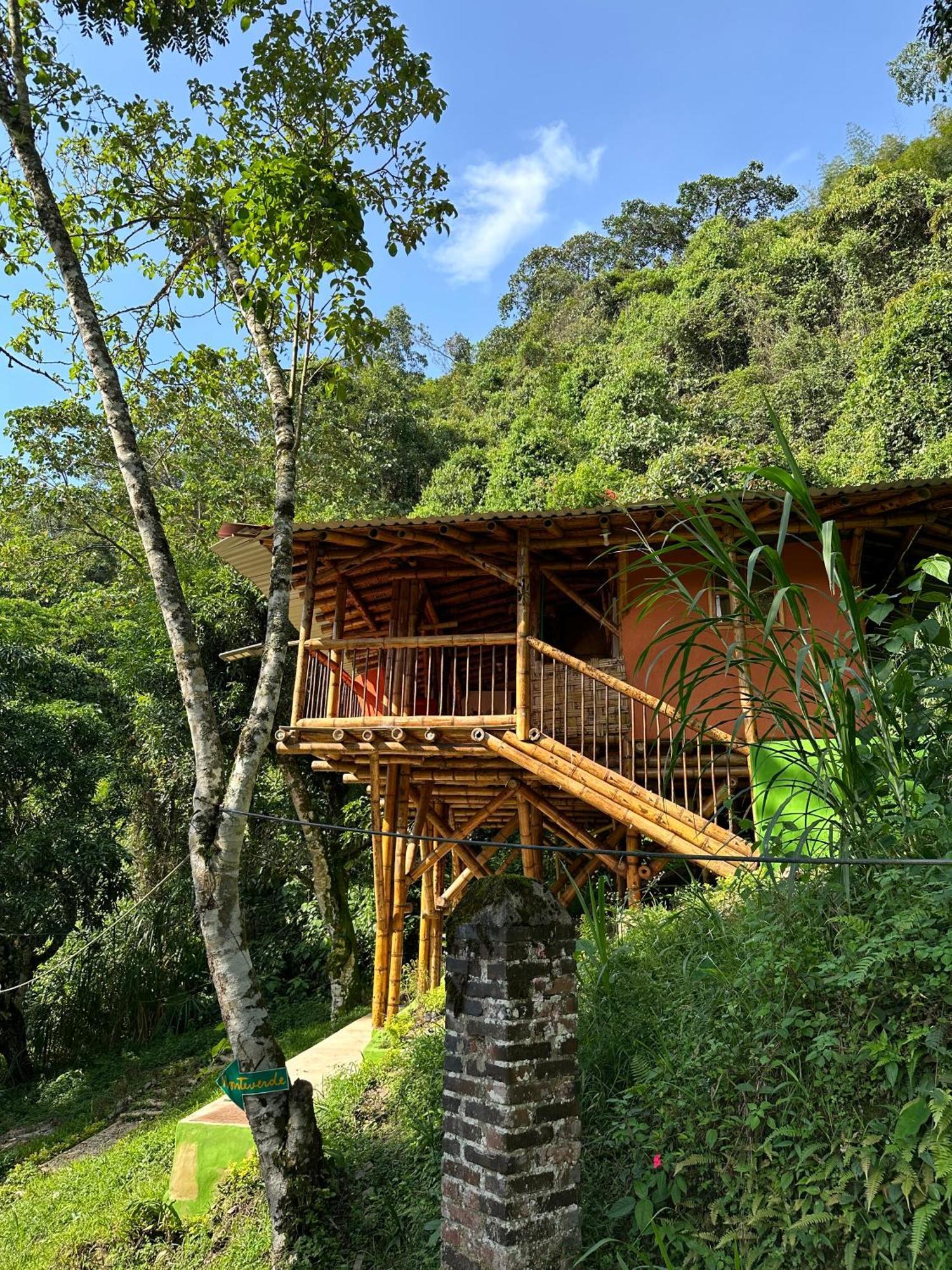 Ecohotel Monteverde Ла Вега Екстериор снимка