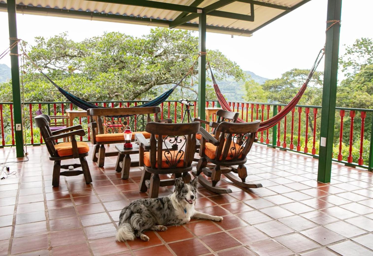 Ecohotel Monteverde Ла Вега Екстериор снимка