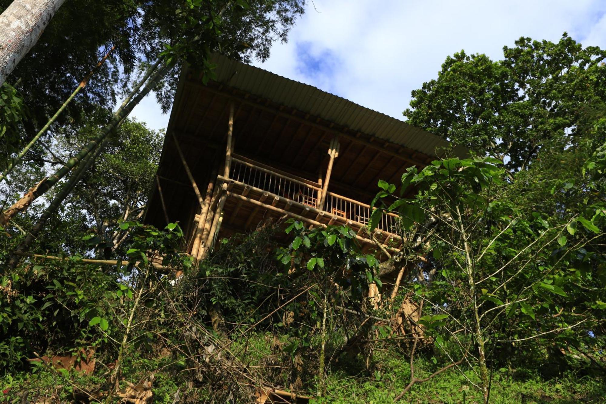 Ecohotel Monteverde Ла Вега Екстериор снимка