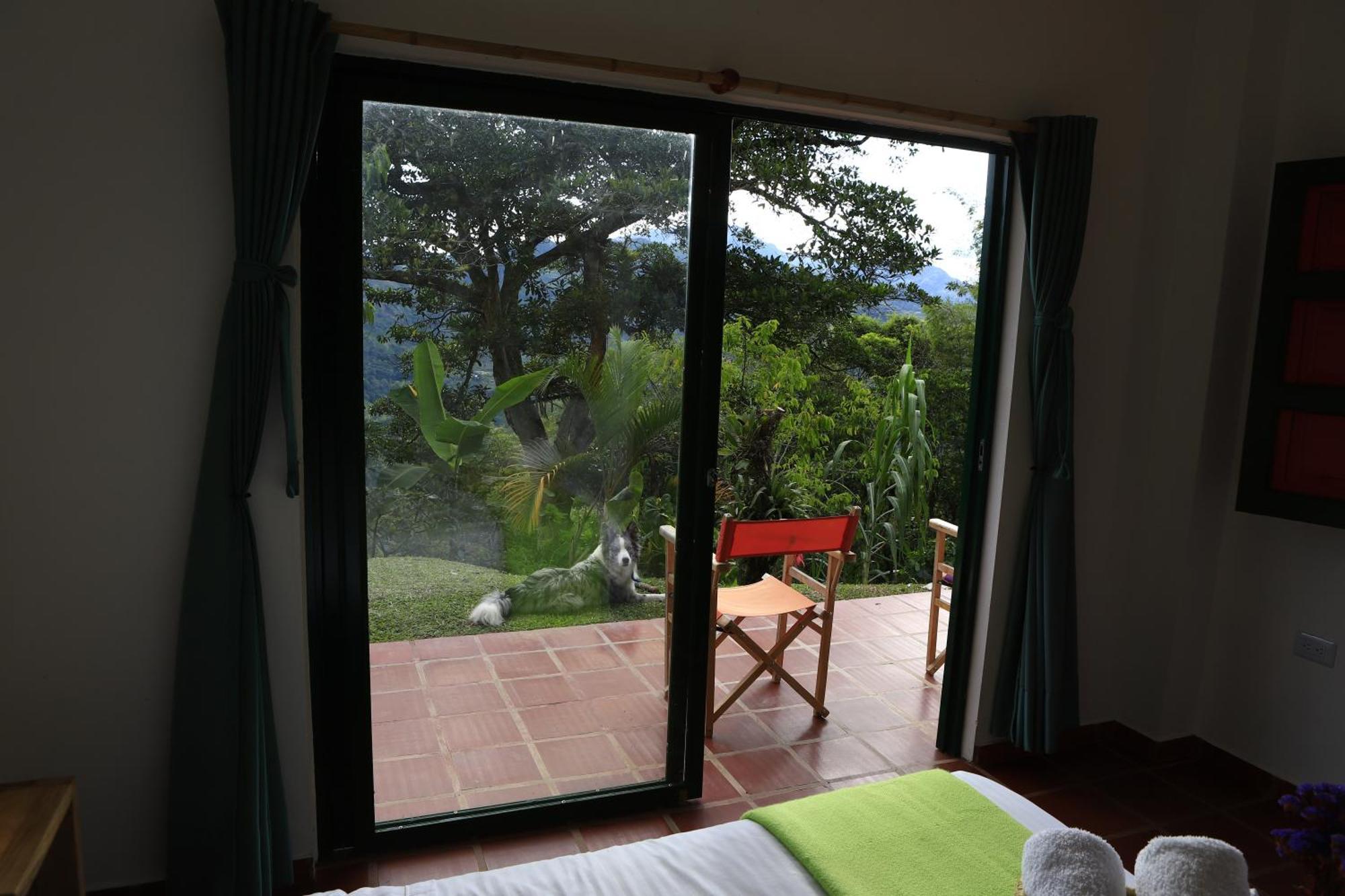 Ecohotel Monteverde Ла Вега Екстериор снимка